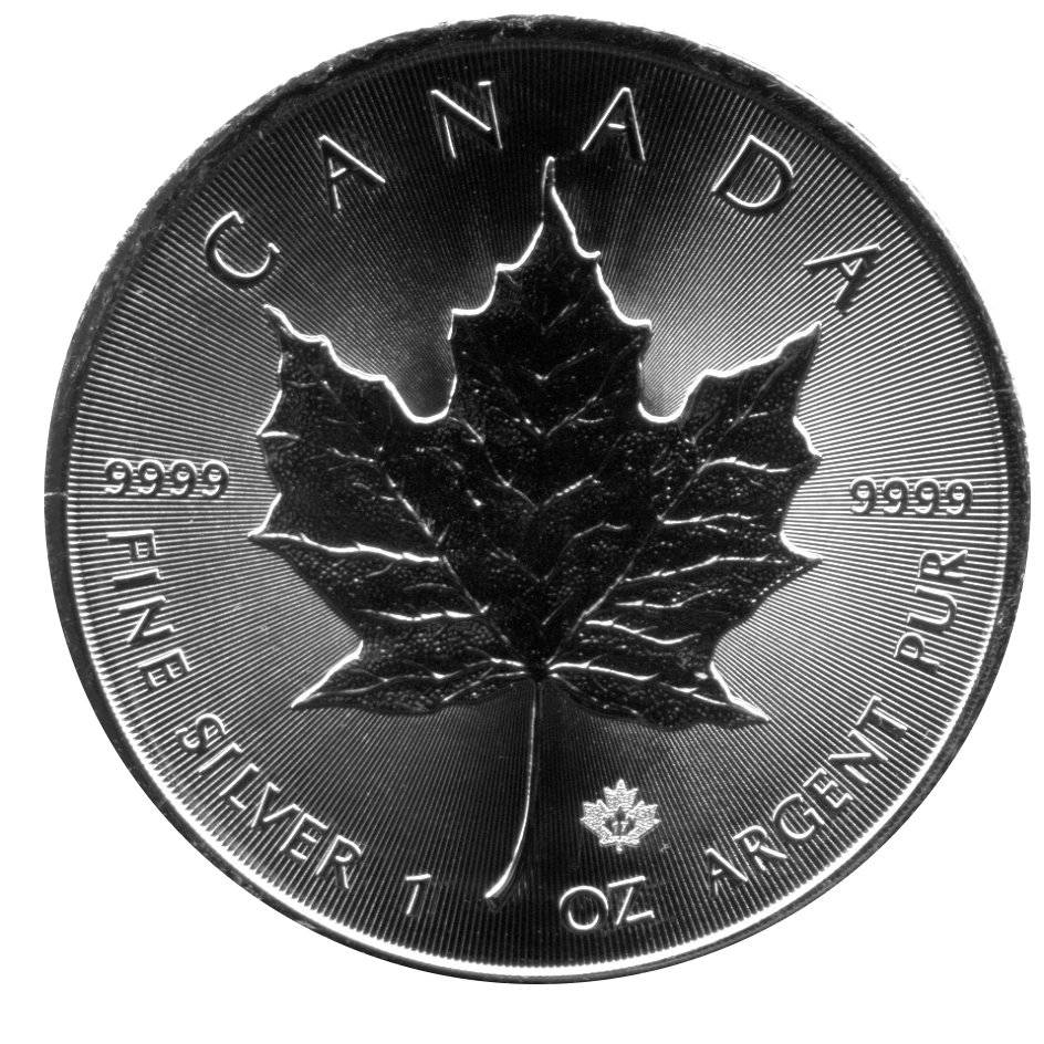 Bild von 1 oz Maple Leaf Silber - 2017