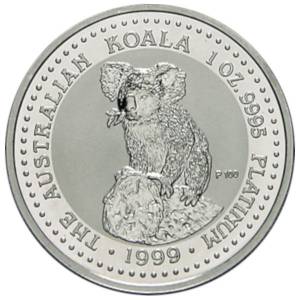 Bild von Koala Platin