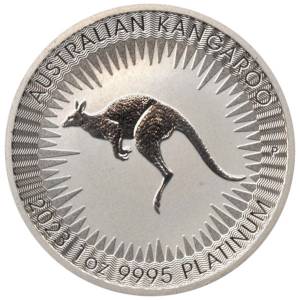 Bild von 1 oz Platinmünze Känguru 2023
